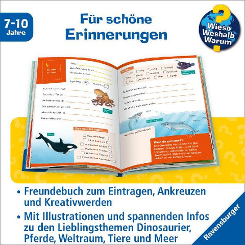 4049817600702 - Sample content