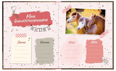 4050003715537 - Sample content