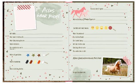 4050003715537 - Sample content