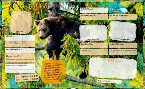 4050003720203 - Sample content