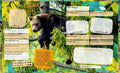 4050003720203 - Sample content