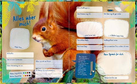 4050003720203 - Sample content