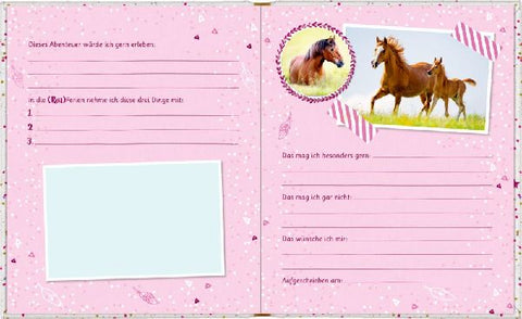 4050003949543 - Sample content