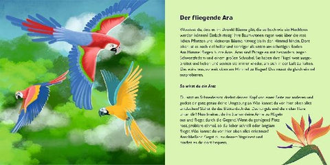 4260688740438 - Sample content