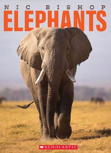 9780545605809 - Front cover