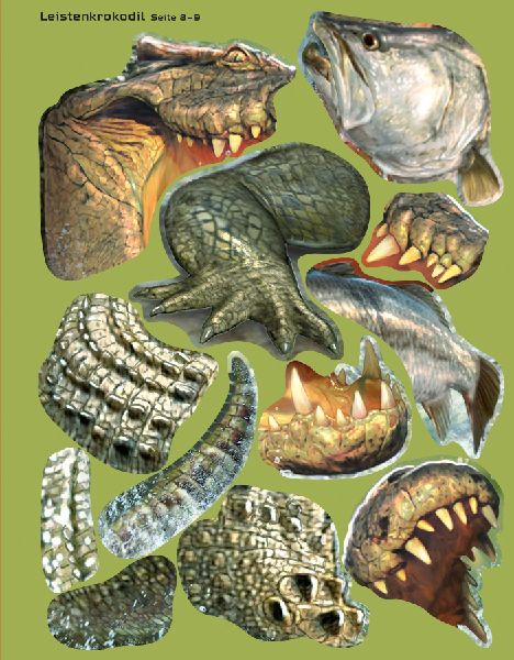 9781035701117 - Sample content