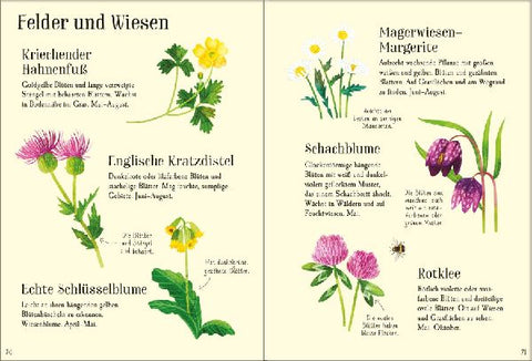 9781035701469 - Sample content