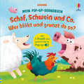 9781035705191 - Front cover