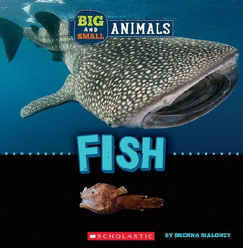 9781338853537 - Front cover