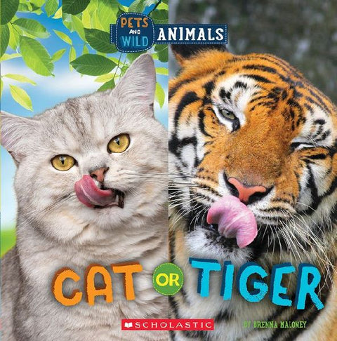 9781338899788 - Front cover