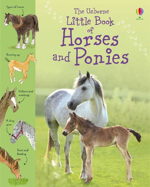 9781409508694 - Front cover