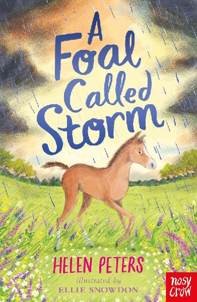 9781788009515 - Front cover