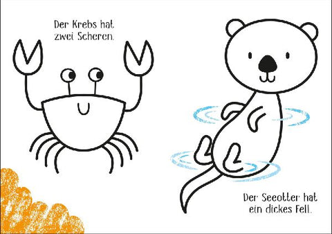 9781789416282 - Sample content