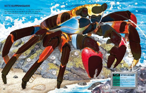 9781789418408 - Sample content