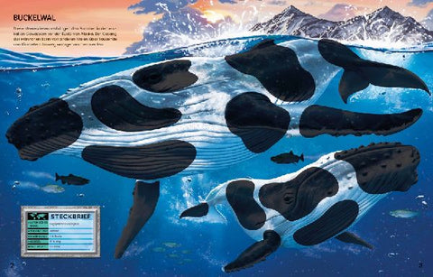 9781789418408 - Sample content