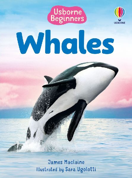 9781835409039 - Front cover