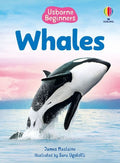 9781836052142 - Front cover