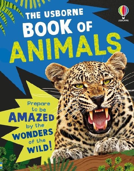 9781836054771 - Front cover