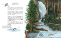 9783219118872 - Sample content