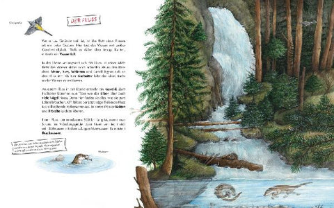 9783219118872 - Sample content