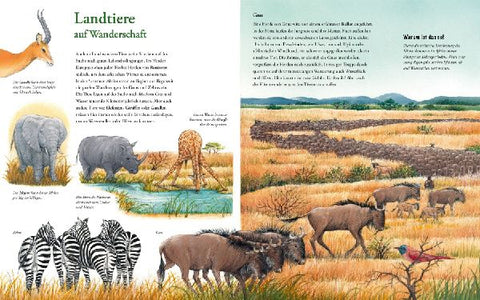 9783219120448 - Sample content