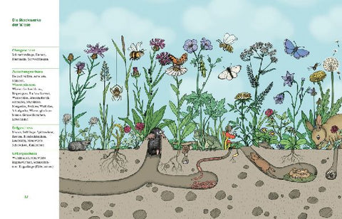 9783328301837 - Sample content