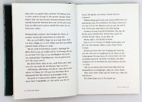 9783401066356 - Sample content