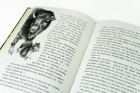 9783401606590 - Sample content