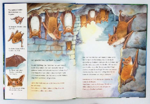 9783401708256 - Sample content