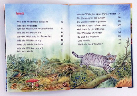 9783401715735 - Sample content