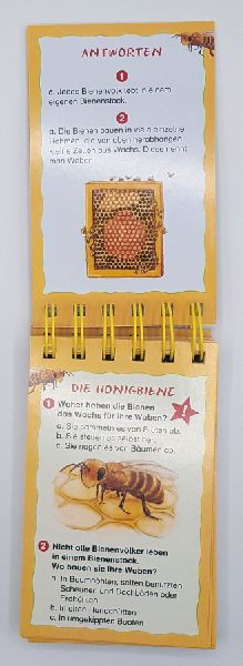 9783401715773 - Sample content