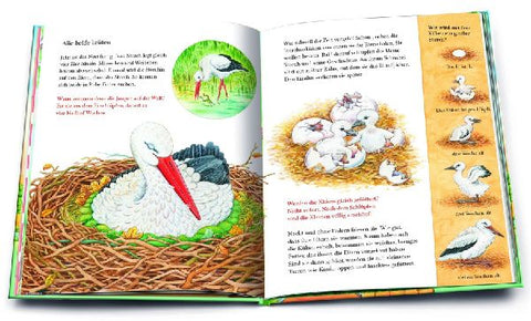 9783401716022 - Sample content