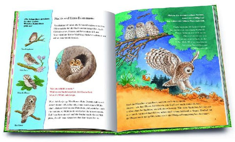 9783401718095 - Sample content