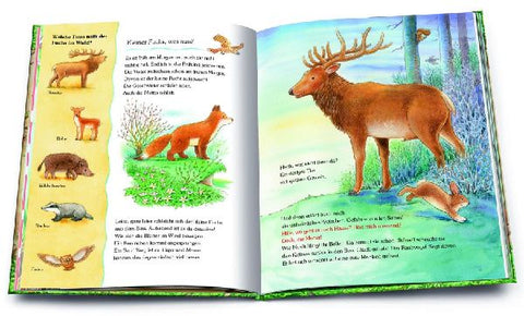 9783401718095 - Sample content