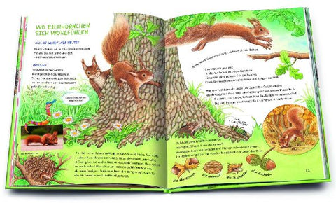 9783401719016 - Sample content