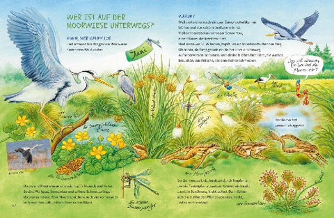 9783401721163 - Sample content