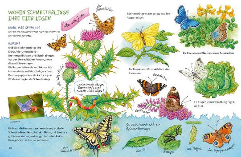 9783401721163 - Sample content