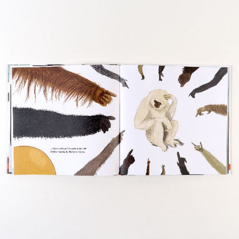 9783407759986 - Sample content