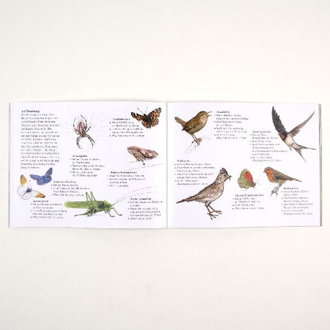 9783407762795 - Sample content