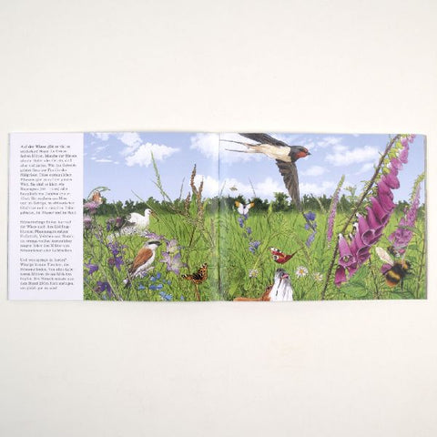 9783407762795 - Sample content