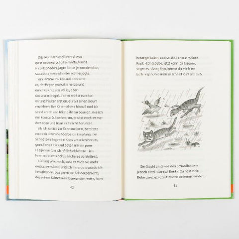 9783407812964 - Sample content