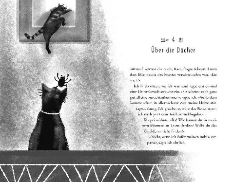 9783423640817 - Sample content