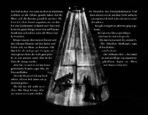 9783423640909 - Sample content