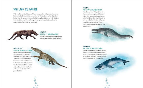 9783423640923 - Sample content