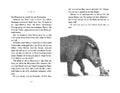 9783423641050 - Sample content