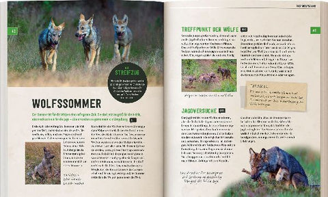 9783440169872 - Sample content