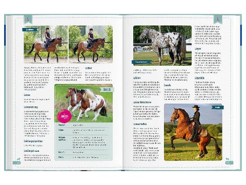 9783440170649 - Sample content