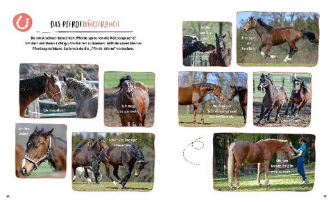 9783440172261 - Sample content