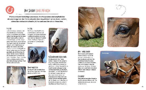 9783440172261 - Sample content