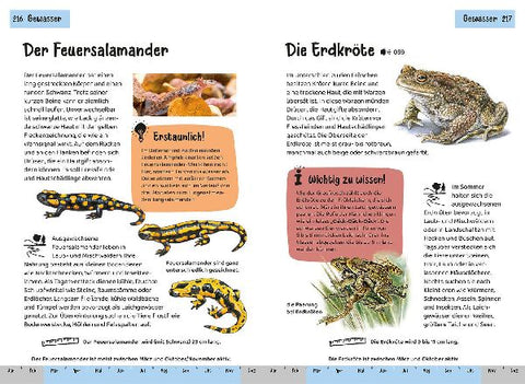 9783440172438 - Sample content